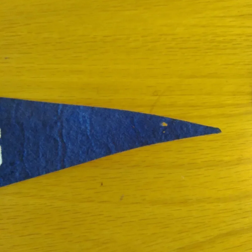 Vintage 60s Hollywood Universal Studios Pennant Flag